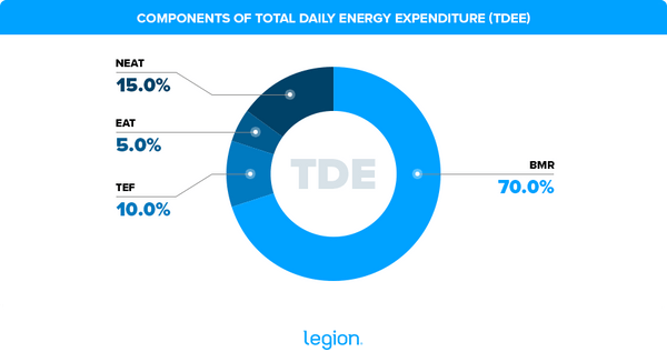 Legion TDEE Calculator